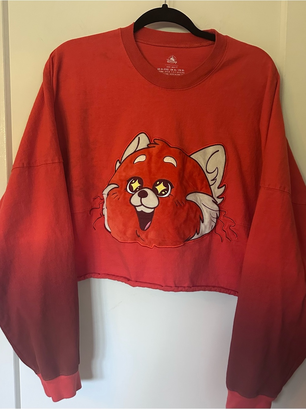 Disney Spirit Jersey